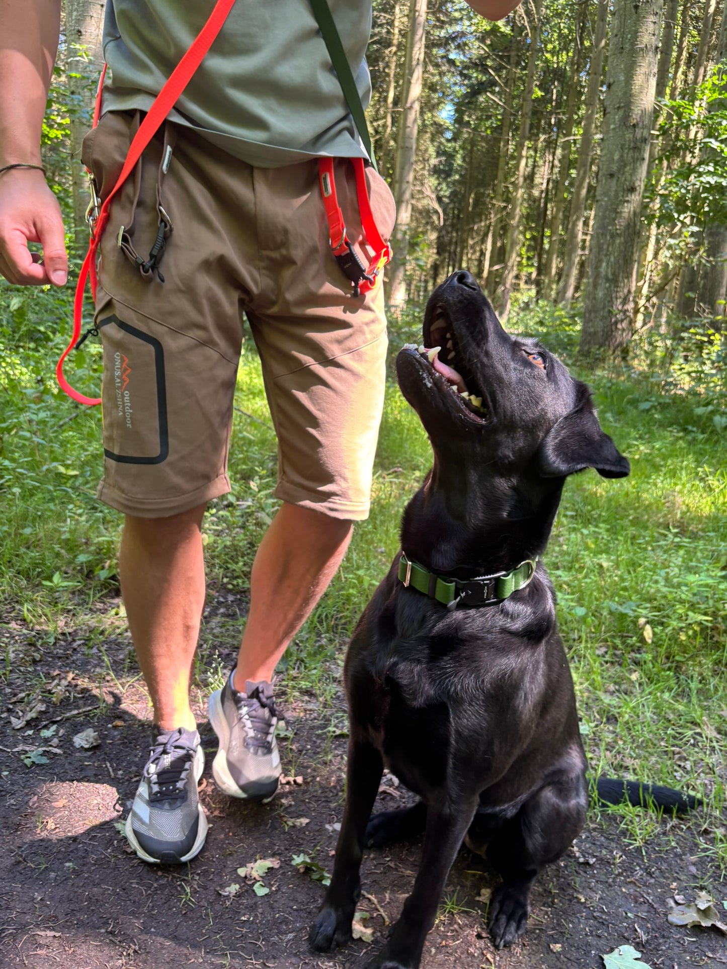 Nordic Trail Collar