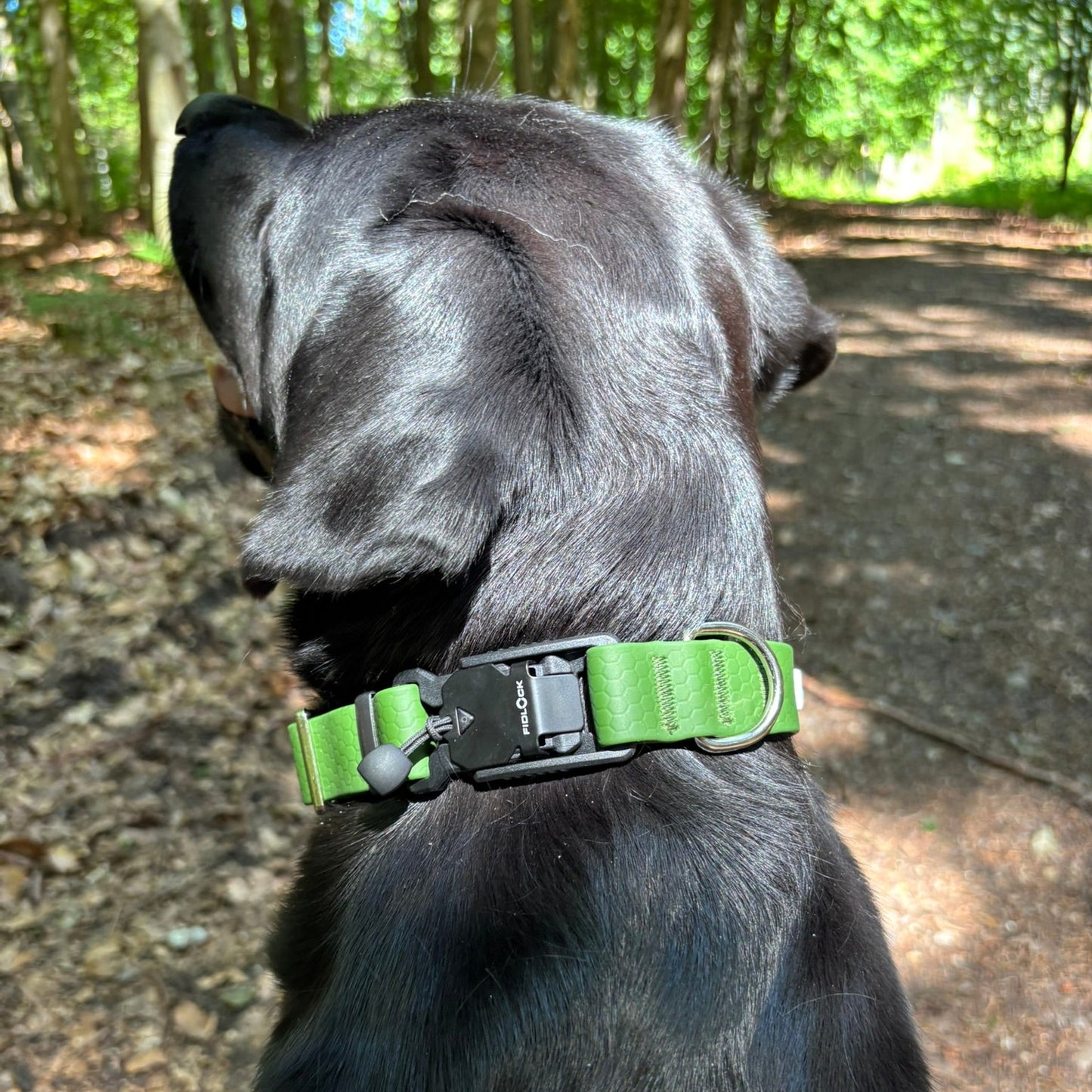 Nordic Trail Collar