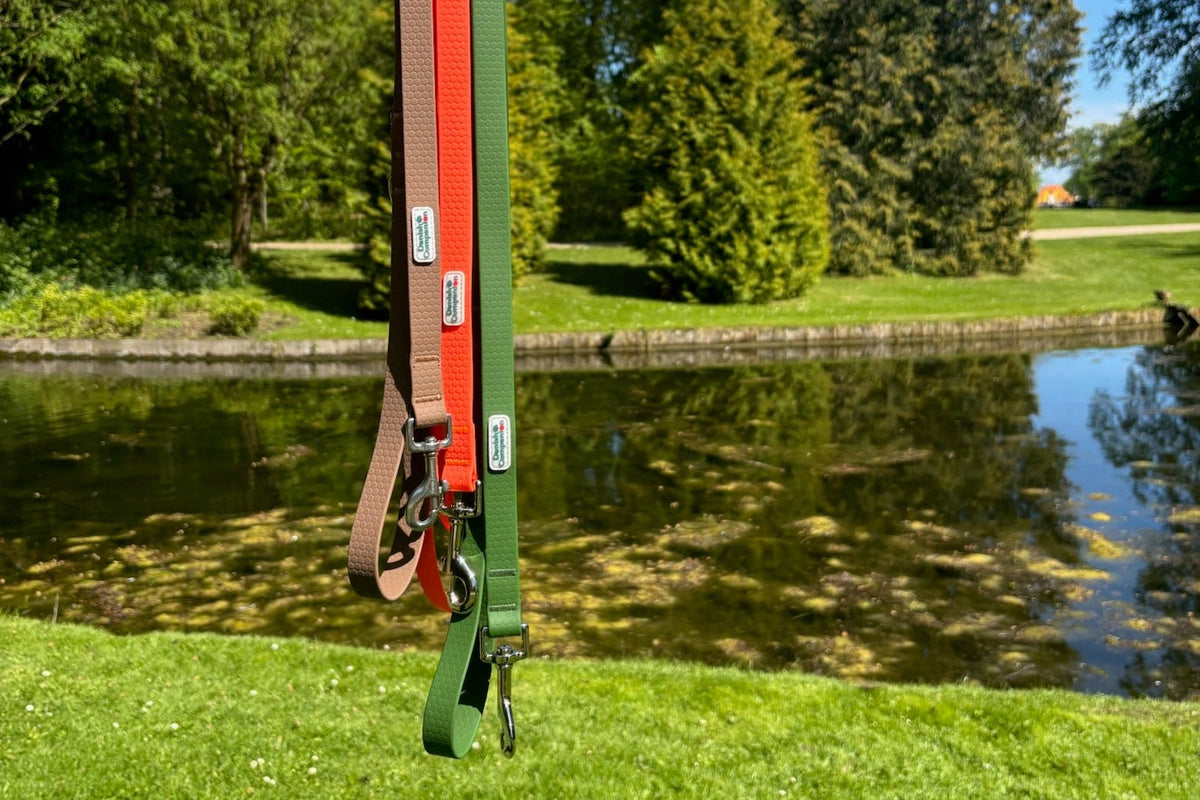 Nordic Trail Snor