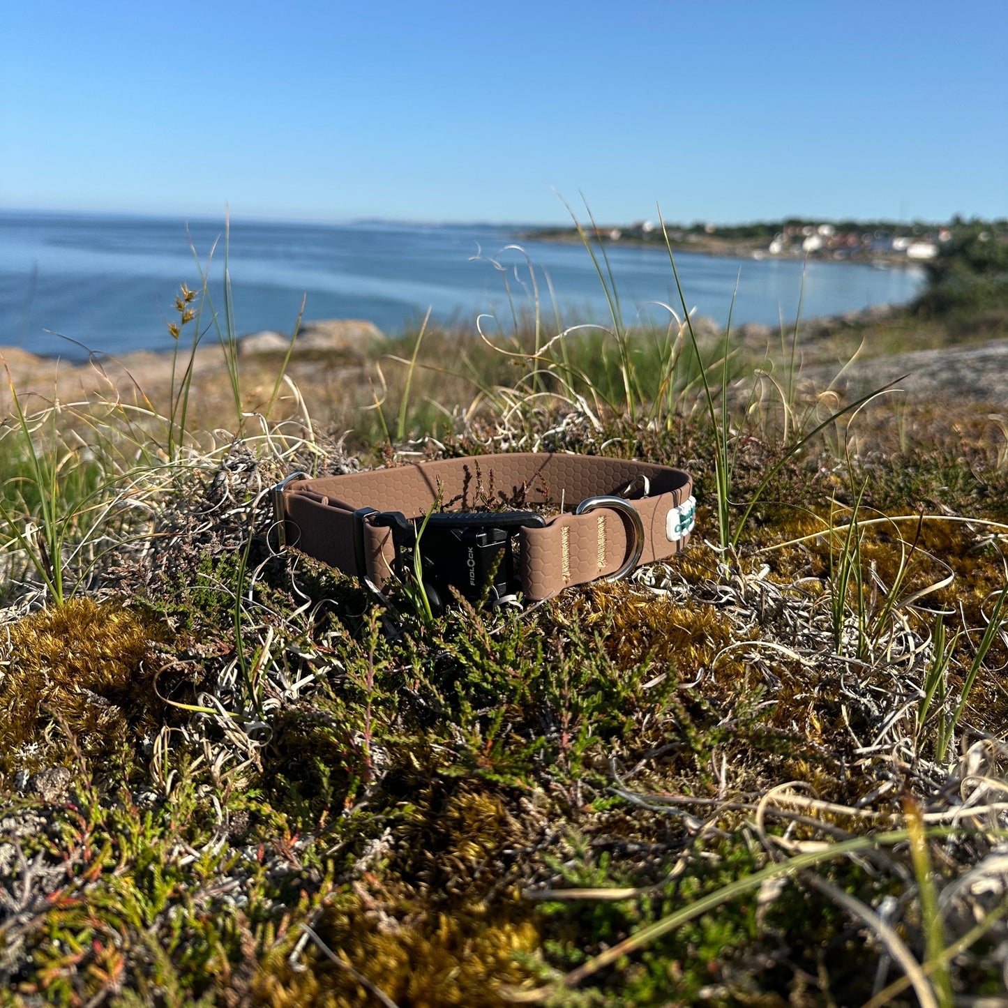 Nordic Trail Collar