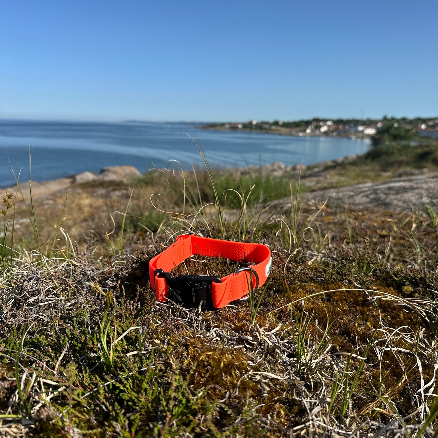 Nordic Trail Collar