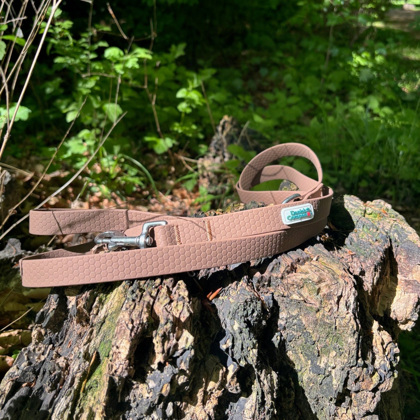 Nordic Trail Leash