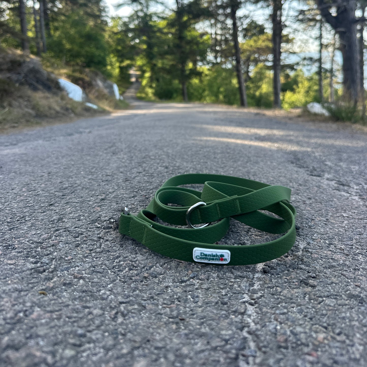 Nordic Trail Leash