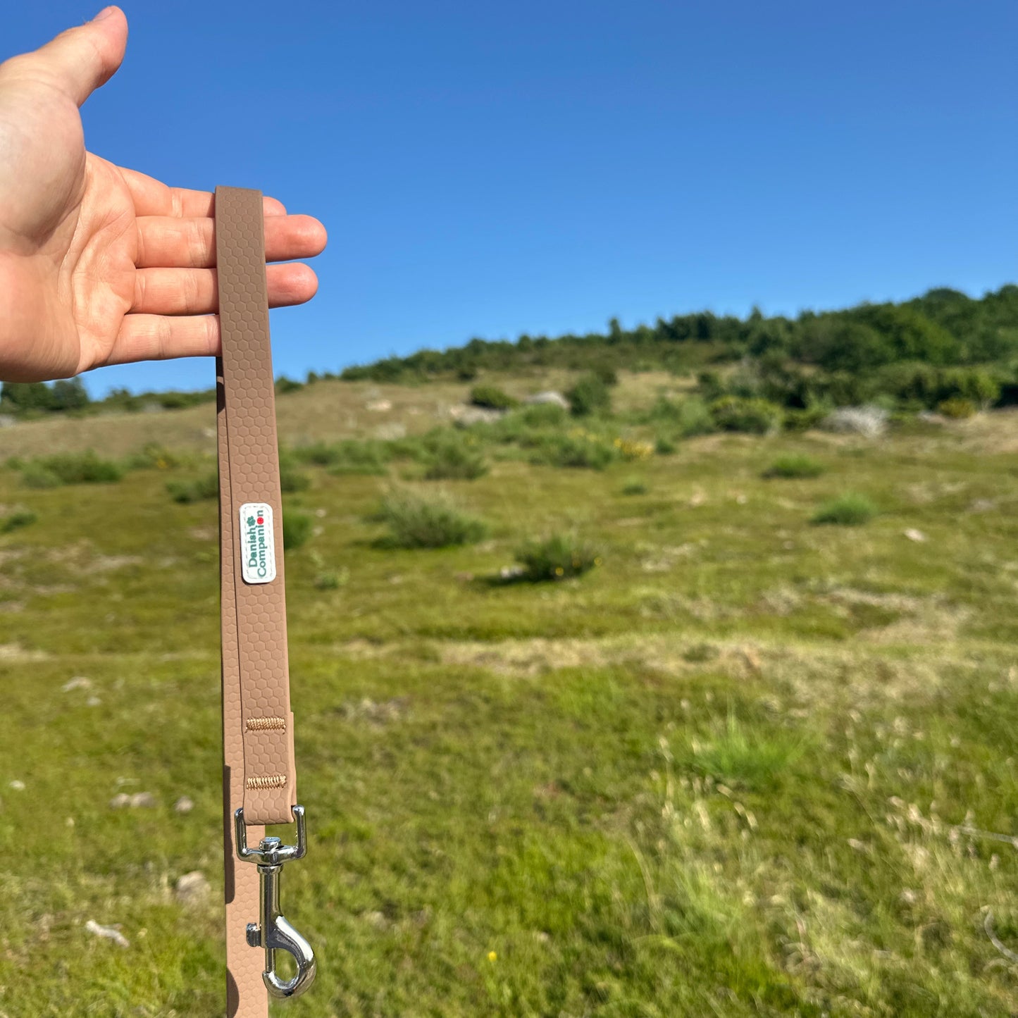 Nordic Trail Leash