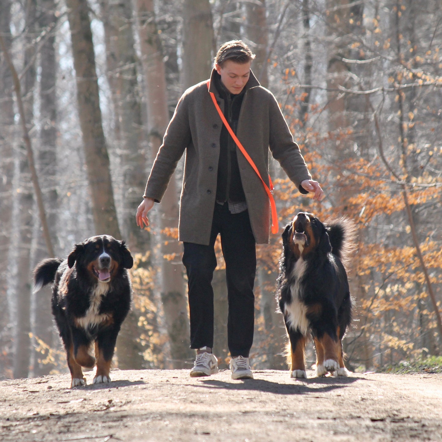 Nordic Trail Leash