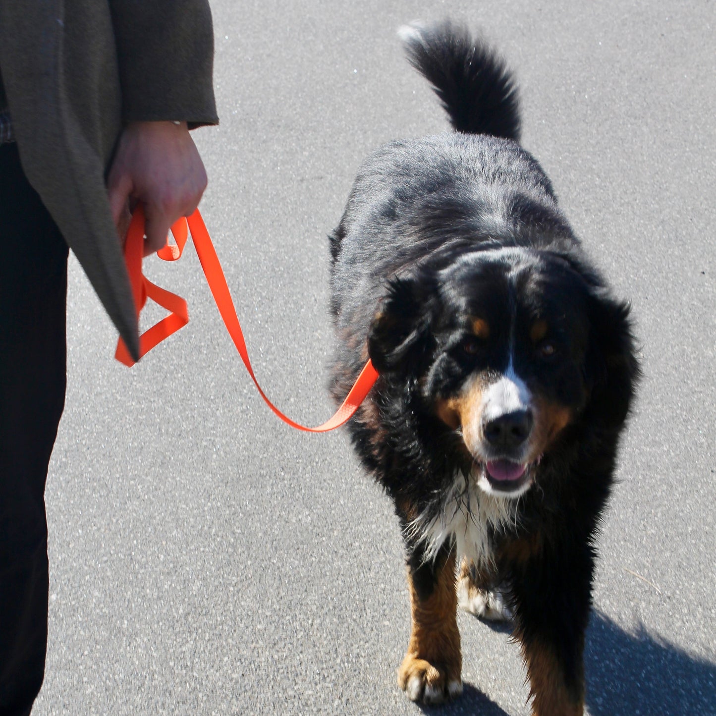 Nordic Trail Leash